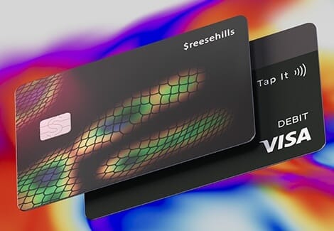Black credit cards with snakeskin graphic and VISA logo.